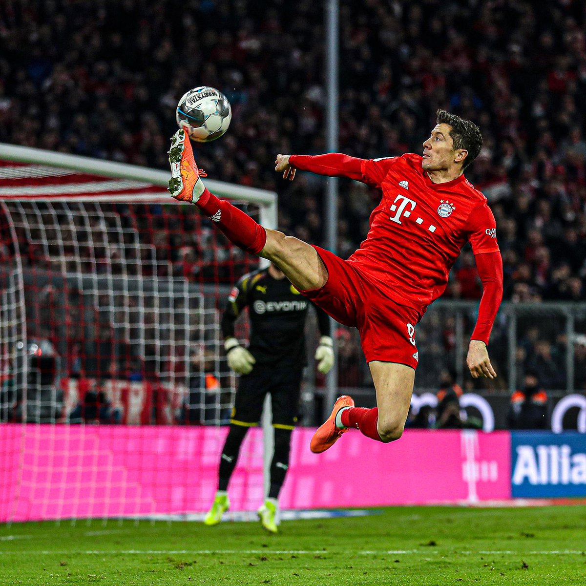 桥牌职业选手配合体系分析