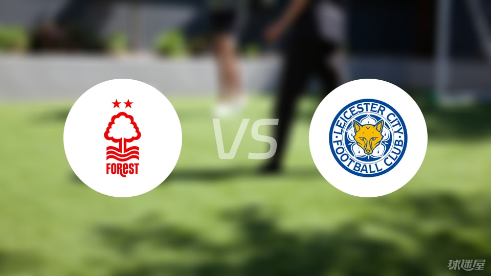 Spirit战术革新：数据解析tN1R加盟如何重塑绿龙王朝